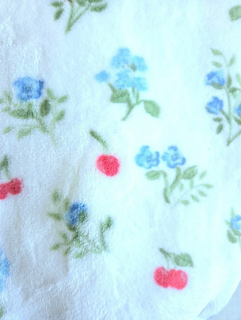 Shabby Chic Rachel Ashwell Farmhouse Plush Throw Blanket Blue Floral Pink Cherry
